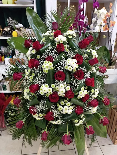 Kwiaciarnia Sunflowers Zamość